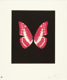Damien Hirst - Butterfly.