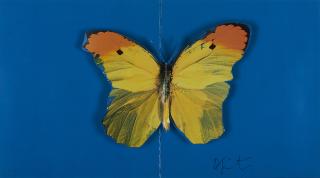 Damien Hirst - Butterfly.