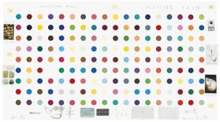 Damien Hirst - Crushing Pain