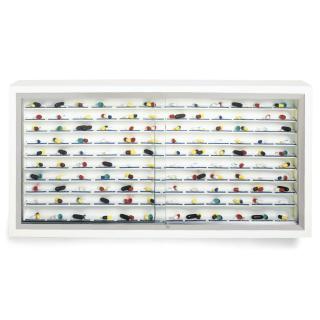 Damien Hirst - Day By Day