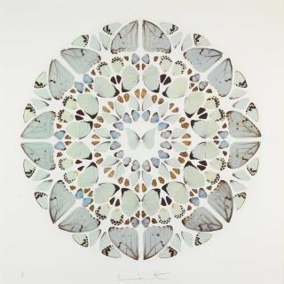 Damien Hirst - Exaudi Domine, from Psalm Prints