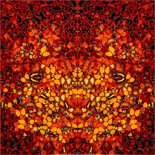 Damien Hirst - Fire H6-8 (from The Elements series)