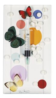 Damien Hirst - Fun