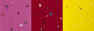 Damien Hirst - Happy, Happy, Harvest