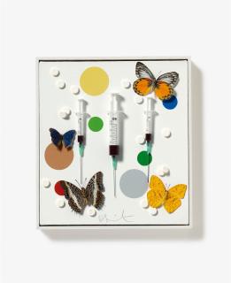 Damien Hirst - Happy