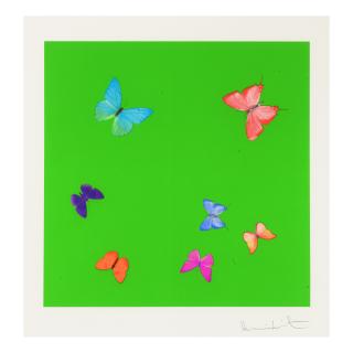 Damien Hirst - Longing