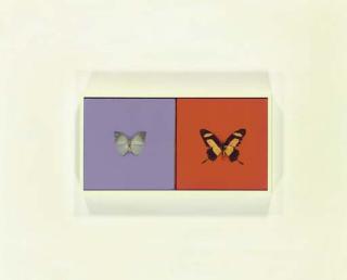 Damien Hirst - Love Love