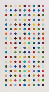 Damien Hirst - Mathamphetamine