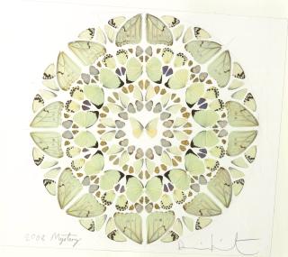 Damien Hirst - Mystery