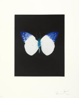 Damien Hirst - One plate, from \'Butterfly Etchings\'