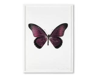 Damien Hirst - One Plate, from \'Souls IV\'