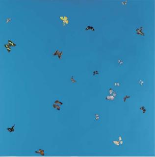 Damien Hirst - Oo you are lovely