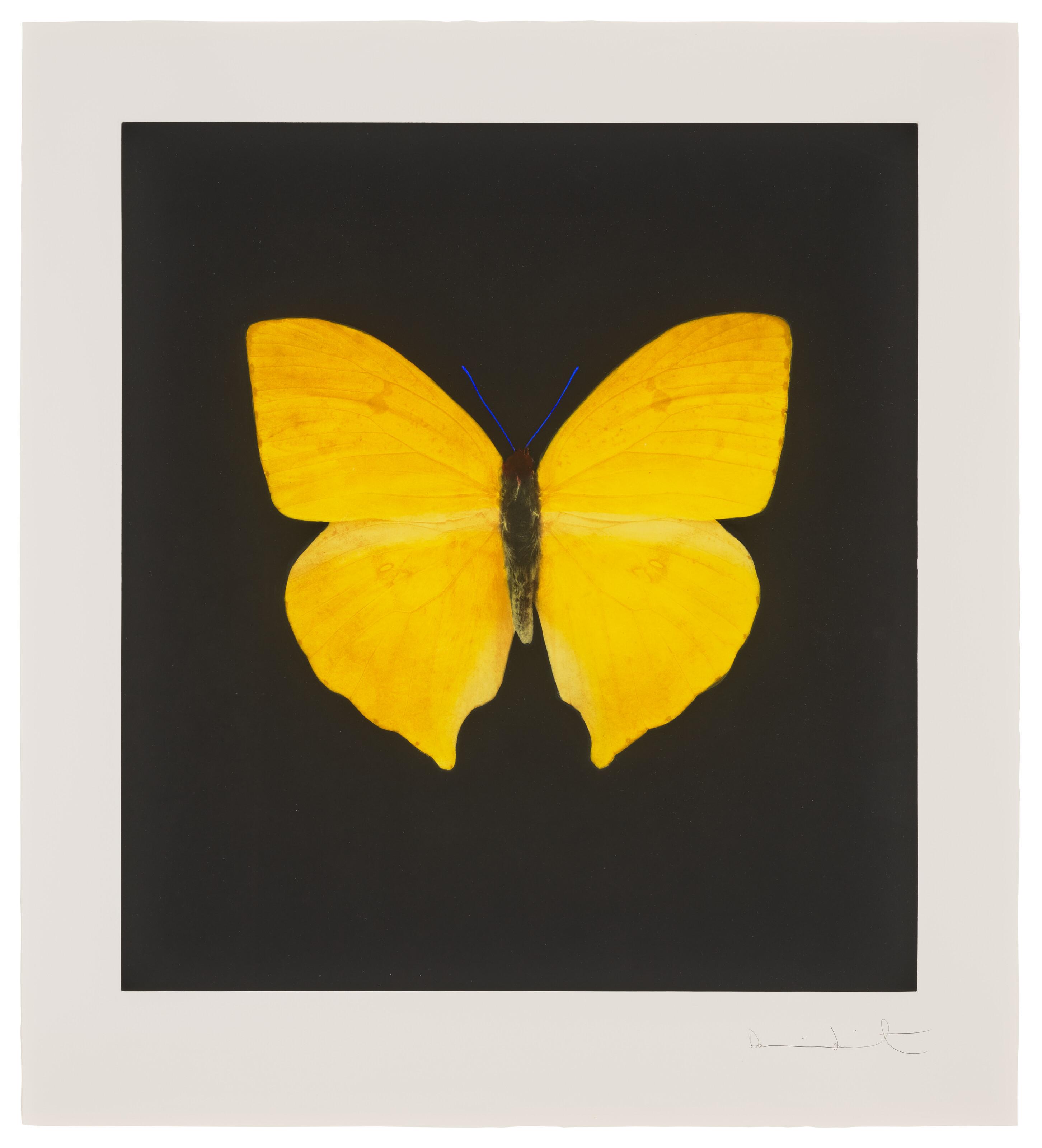 Damien Hirst - Plate 1, from: The Souls on Jacob\'s Ladder Take Their Flight