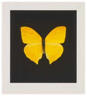 Damien Hirst - Plate 1, from: The Souls on Jacob\'s Ladder Take Their Flight