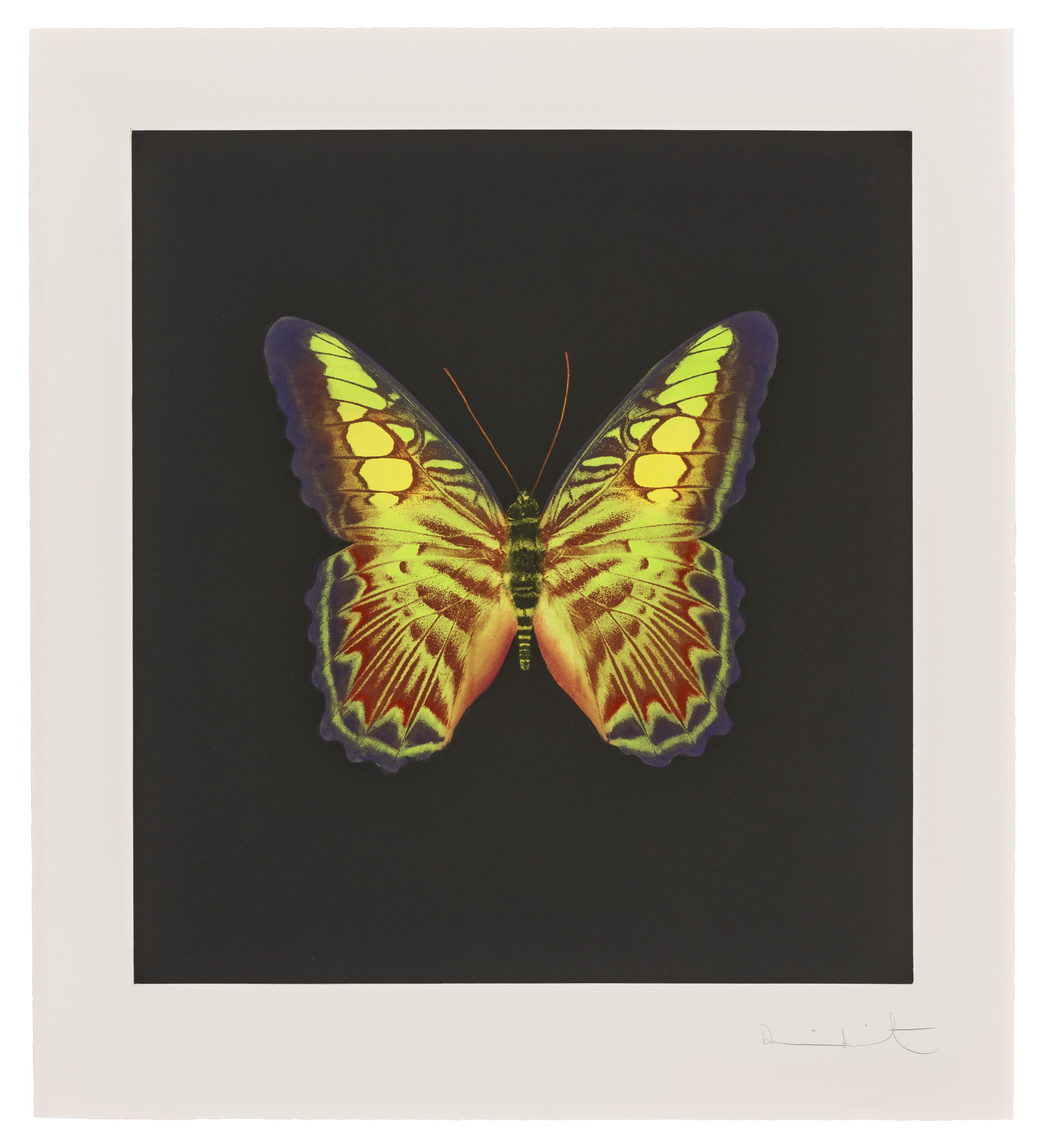 Damien Hirst - Plate 2, from: The Souls on Jacob\'s Ladder Take Their Flight