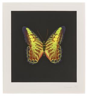 Damien Hirst - Plate 2, from: The Souls on Jacob\'s Ladder Take Their Flight