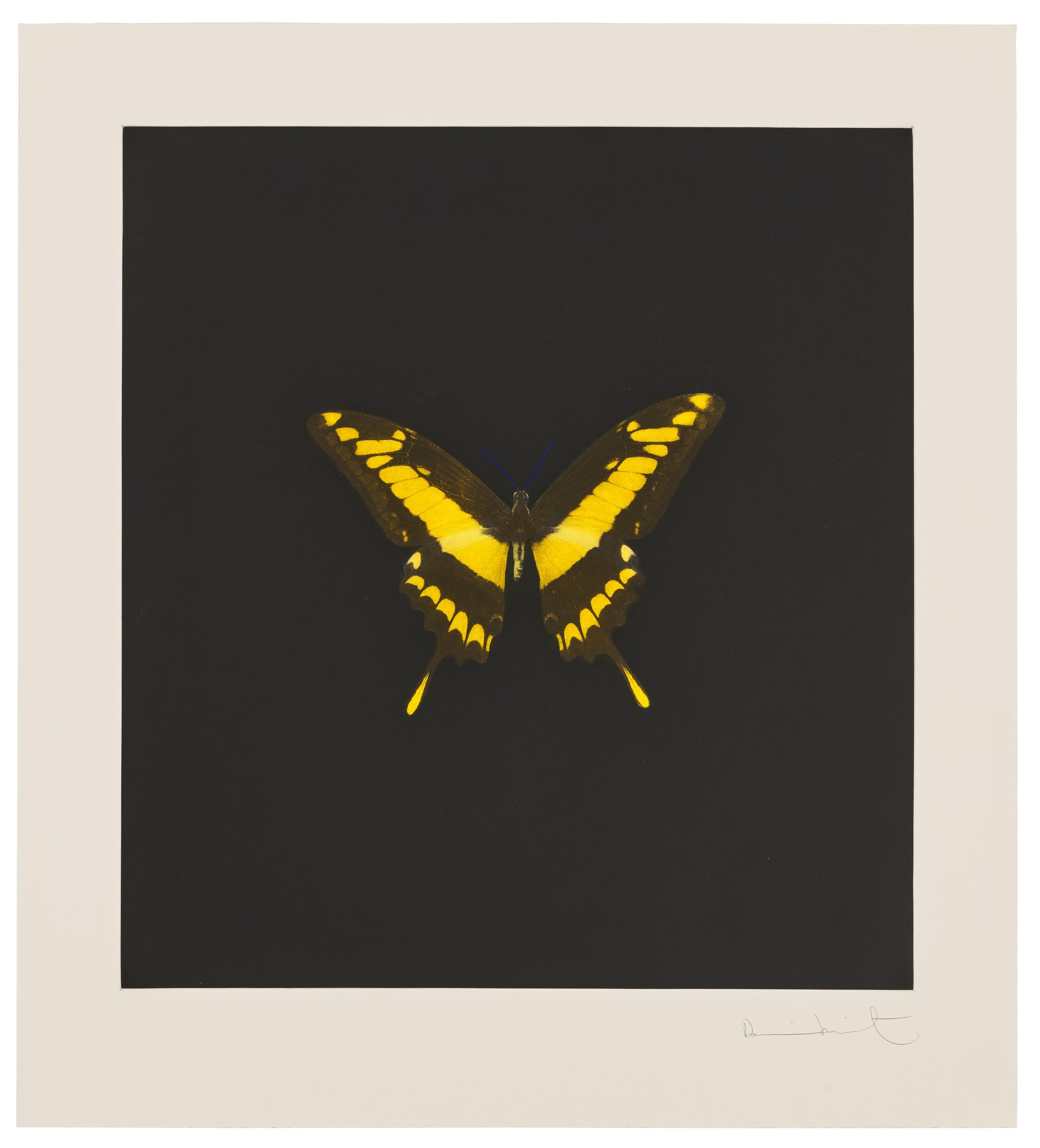 Damien Hirst - Plate 6, from: The Souls on Jacob\'s Ladder Take Their Flight