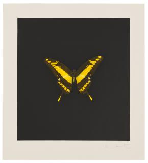 Damien Hirst - Plate 6, from: The Souls on Jacob\'s Ladder Take Their Flight