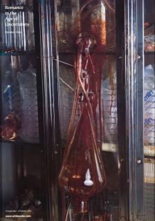 Damien Hirst - Romance in the Age of Uncertainty, 2003