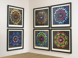 Damien Hirst - Sanctum