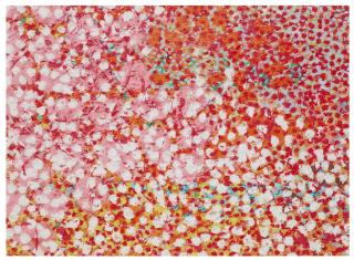 Damien Hirst - Sans Souci