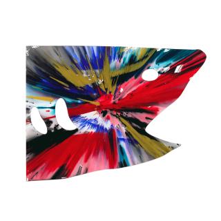 Damien Hirst - Shark Spin Painting