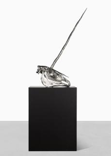 Damien Hirst - Skull of a Unicorn