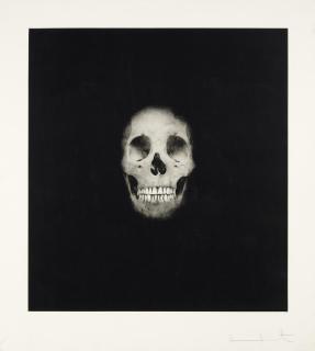 Damien Hirst - Skull V