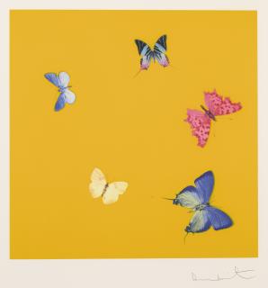 Damien Hirst - Sweet Disorder