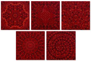 Damien Hirst - The Empresses