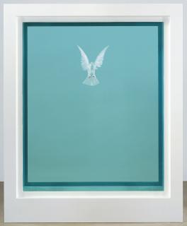 Damien Hirst - The Incomplete Truth
