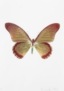 Damien Hirst - The Souls Iv - Chilli Red/Oriental Gold/Leaf Green
