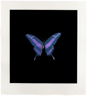 Damien Hirst - The Souls on Jacob\'s Ladder Take Their Flight, 2008