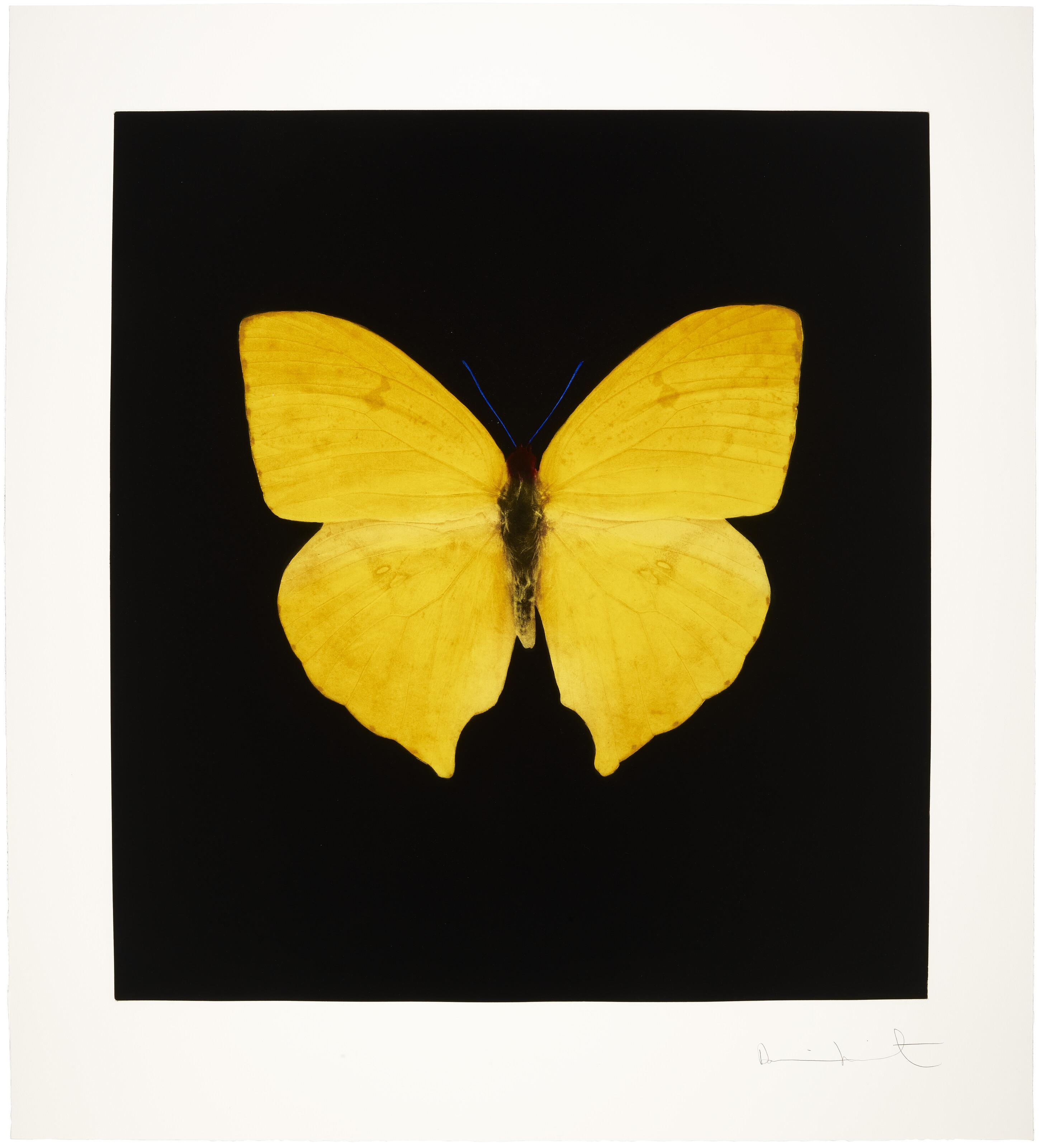 Damien Hirst - The Souls on Jacob\'s Ladder Take Their Flight: One Print