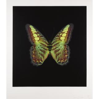 Damien Hirst - The Souls On Jacob\'S Ladder Take Their Flight, Plate 02