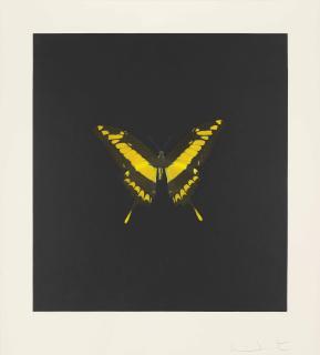 Damien Hirst - The Souls On Jacob\'S Ladder Take Their Flight: Plate 6