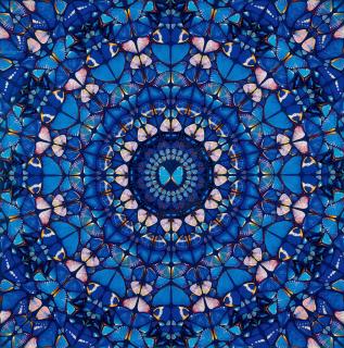 Damien Hirst - Truth, From The Aspects  (H6-5) (Executed In 2019)