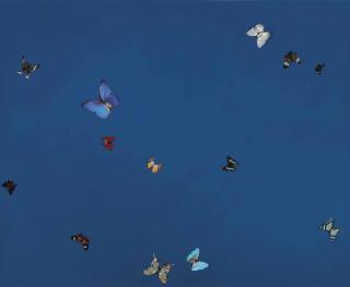 Damien Hirst - Universal Love