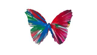 Damien Hirst - Untitled (Butterfly Spin Painting)