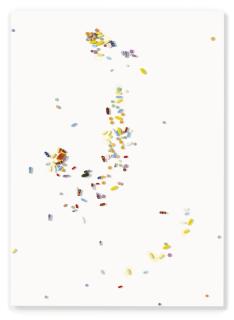 Damien Hirst - Wilderness