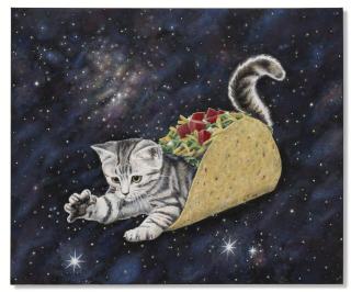 Dan Bina - Tacocat Spelled Backwards Is Tacocat