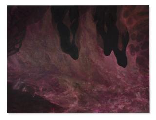 Dan Colen - Dance of The Hours