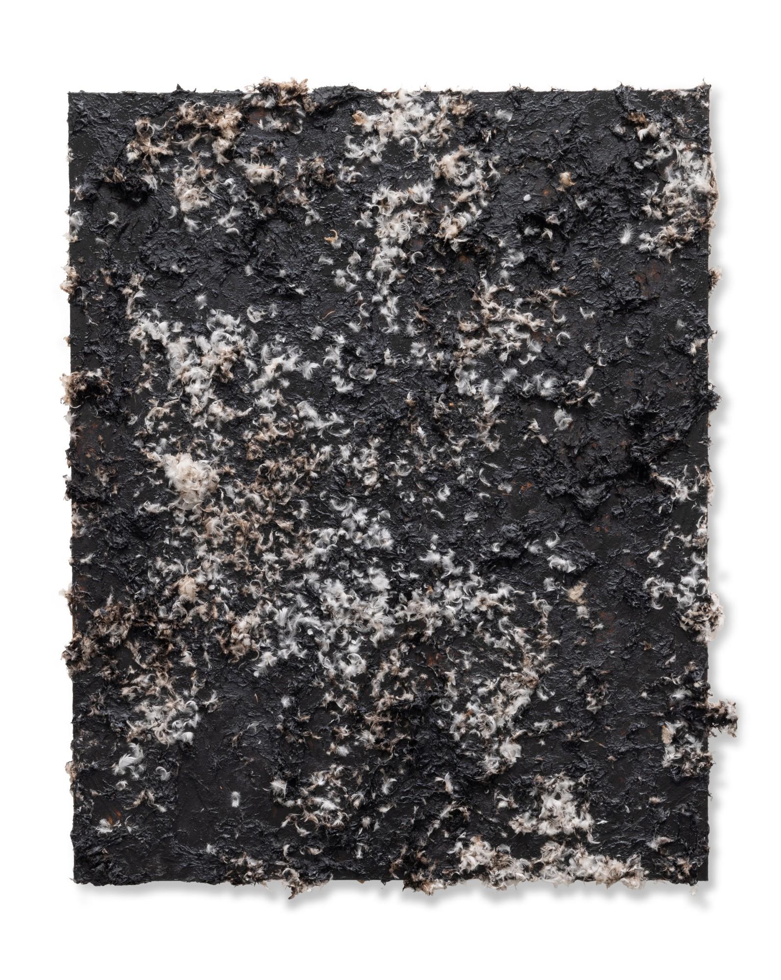 Dan Colen - Dis is den end!