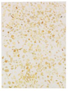 Dan Colen - Gum painting