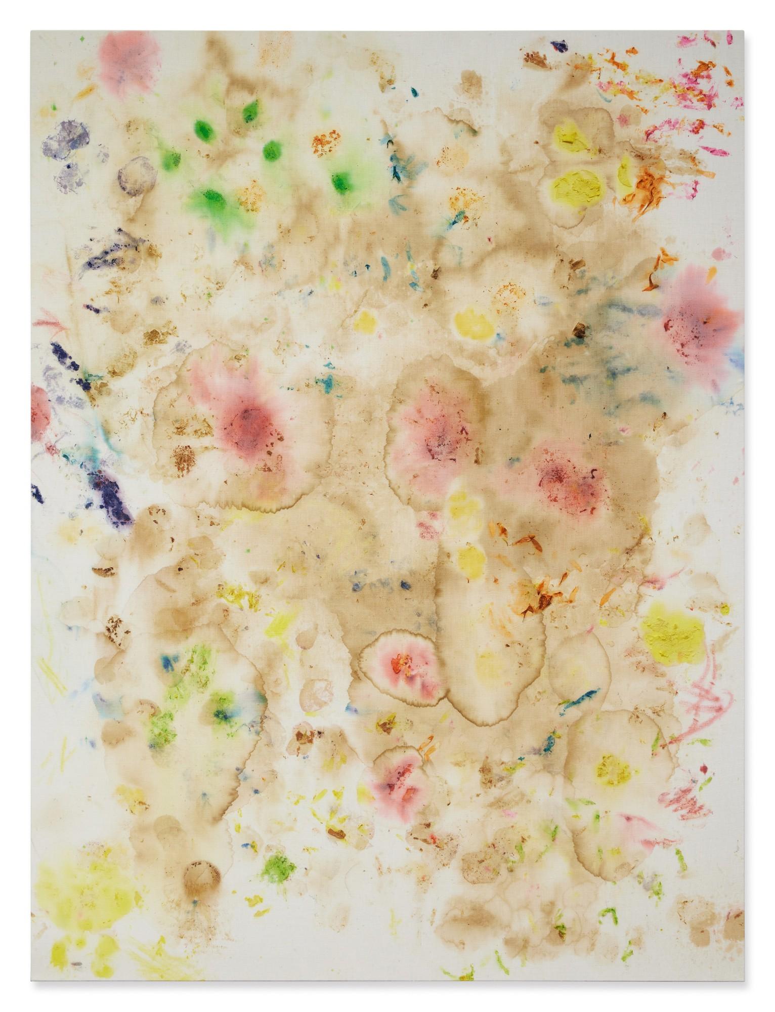 Dan Colen - Hooten Anny