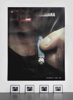 Dan Colen - Life Marijuana