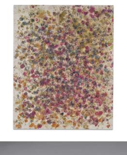 Dan Colen - Somethings