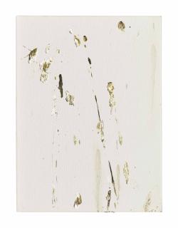 Dan Colen - Untitled (Bird Shit)