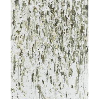 Dan Colen - Untitled (Birdshit)