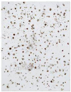 Dan Colen - Weekend Millionaire